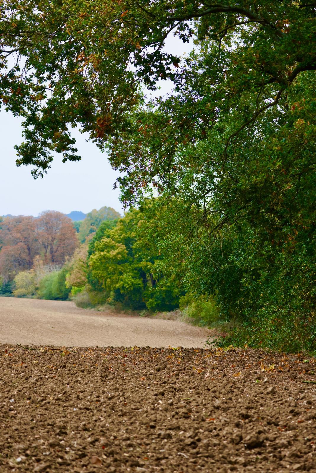 Birchanger Countryside